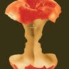 Flesh  David Szalay