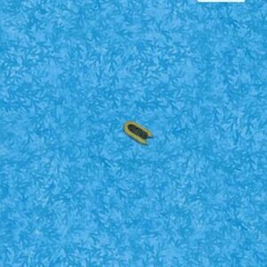 Small Boat Vincent Delecroix , Helen Stevenson